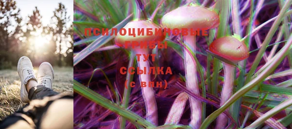 первитин Верхний Тагил