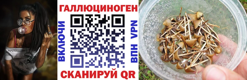 блэк спрут зеркало  Новая Усмань  Галлюциногенные грибы мухоморы 